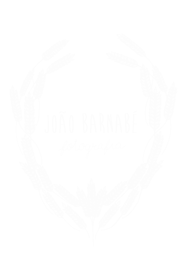 João Barnabé - Portugal Wedding Photographer